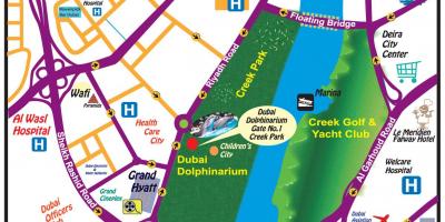 海豚显示，迪拜位置的地图